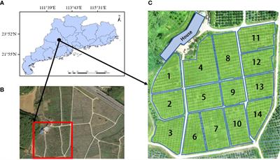 Design and validation of a multi-objective waypoint planning algorithm for UAV spraying in orchards based on improved ant colony algorithm